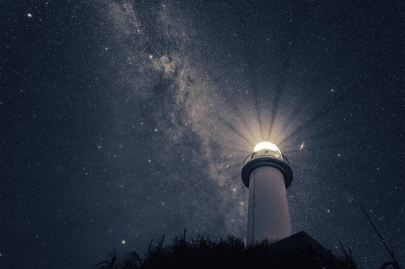 Starry Night Garden